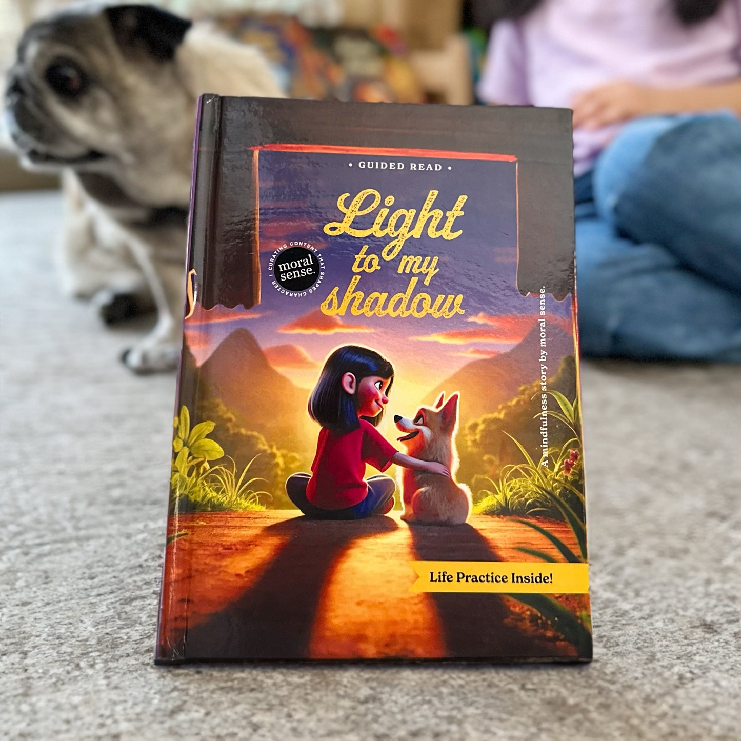 Light to my shadow / Owning Mistakes